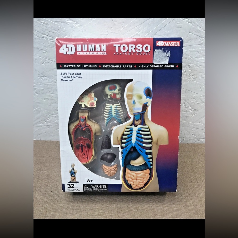 New 4D Master 4D Human Torso Anatomy Model w/ 32 Parts, Stand, & Guide, Sealed